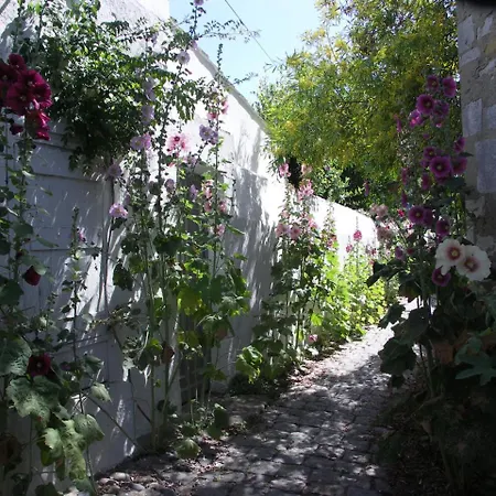Silene Apartmán Saint-Martin-de-Ré
