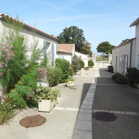 Silene * Saint-Martin-de-Ré