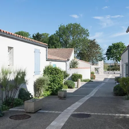 Silene * Saint-Martin-de-Ré